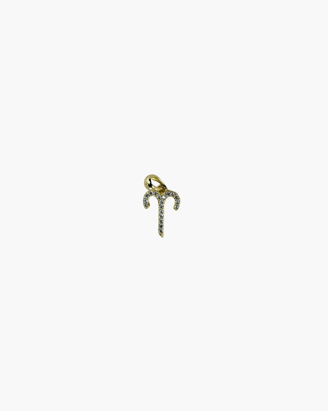 Zodiac Charm