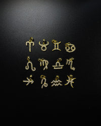 Zodiac Charm