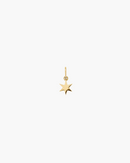 Charm Stella